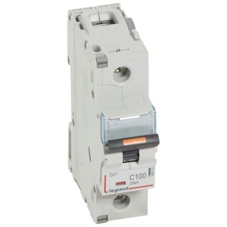 MCB DX3  1 pole 100A curve C