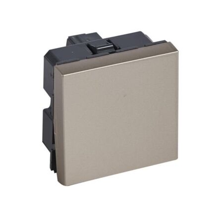 Arteor™ - 2-way switch 10 AX 250 V~ - 2 modules square version - Champagne
