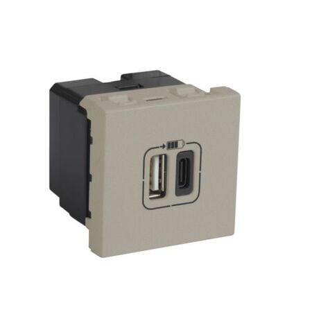 Arteor™ - 1 USB Type-A + 1 USB Type-C charging socket 3 A / 15 W 230 V - 5 V= - 2 modules - Champagne