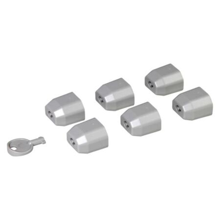 Set of 6 locking caps for C13 standard outlet + 1 key for LCS² PDU