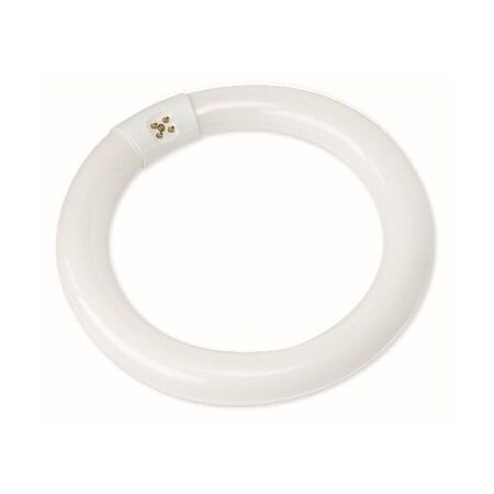 Nelson T9 22W Natural White Circular Fluorescent Lamp