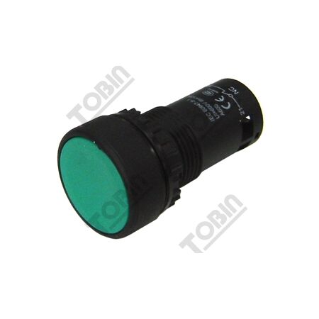 Pushbutton Monobloc Flush Green | 1 N/O & 1 N/C Contacts | Durable Design | by Tobin
