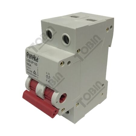Isolator EUREKA Din Mount 2 Pole 100A | High Current Rating | Easy DIN Rail Installation | by Tobin
