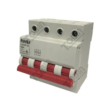 4 Pole Isolator Switch | DIN Rail Mountable | 125A Rated Current | Robust Construction | by Tobin