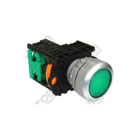 Pushbutton Illuminated 240VAC Green | LED Illumination | 1N/O Contact | Flush Mount | by Tobin
