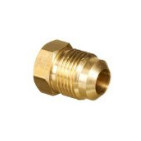 MSAE 1/2