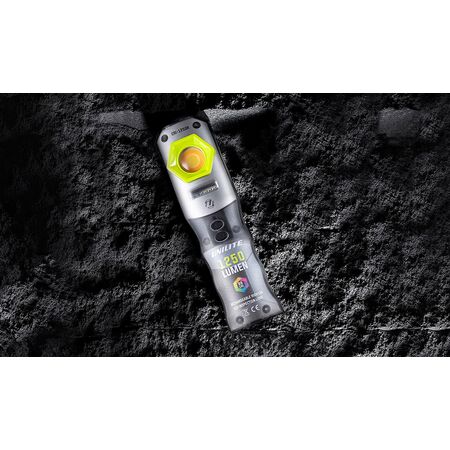 Compact Detailing Light