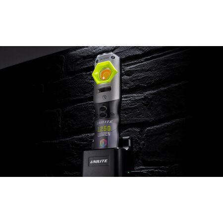 Compact Detailing Light