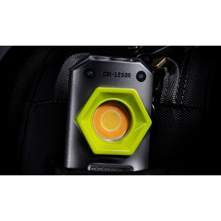 Compact Detailing Light