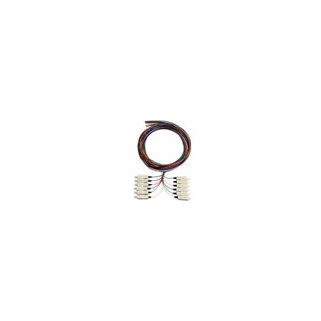 Serveredge ST Pigtail OS2 | 12 Fibers | 2 Meters Length | Single-Mode Fiber | by SERVEREDGE