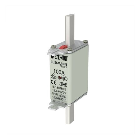 NH FUSE 100A 500V GG/GL SIZE 01 (NH FUSE 100A 500V GG/GL SIZE 01 (100NHG01B))