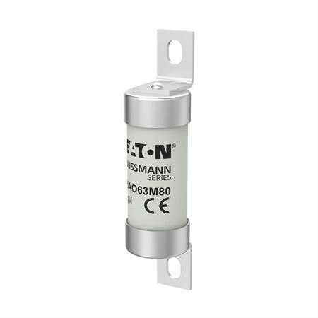 63M100 500V AC INDUSTRIAL (63M100 500V AC INDUSTRIAL (BAO63M100))