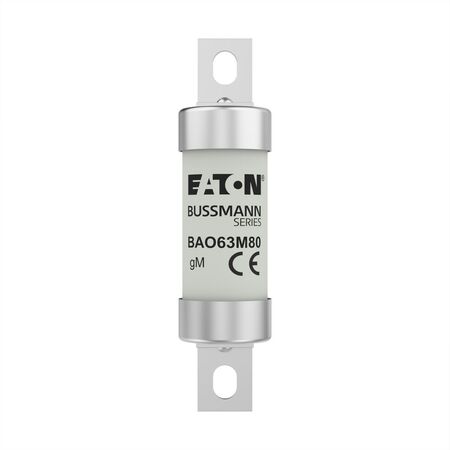 63M100 500V AC INDUSTRIAL (63M100 500V AC INDUSTRIAL (BAO63M100))