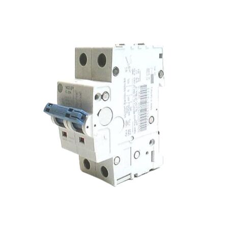 Allen-Bradley 1492SPM2C250 Supplementary Protector 2 Pole 25 Amp