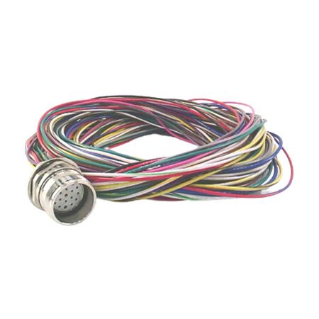 Allen-Bradley 888MF19AE6F M23 Female 19 Pin Straight Receptacle
