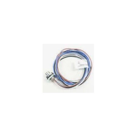 Allen-Bradley DC Micro M12 Straight Female Receptacle
