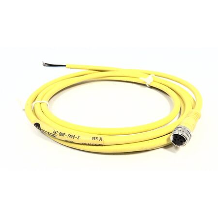 Allen-Bradley 889PF4UB2 PICO Cable Female Straight 4 Pins