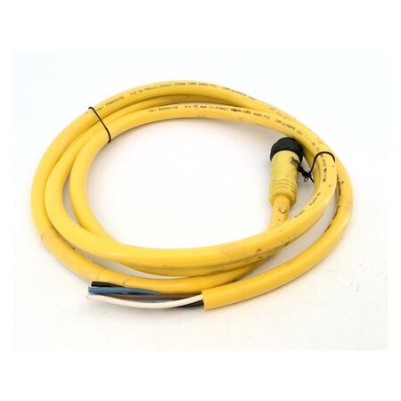 Allen-Bradley 889NU4AF6F Mini Cable Male Straight 4 Pins