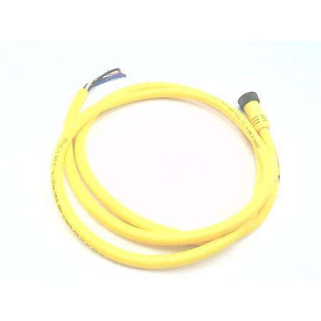 Allen-Bradley 889NF4AF6F Mini Cable Female Straight 4-Pin