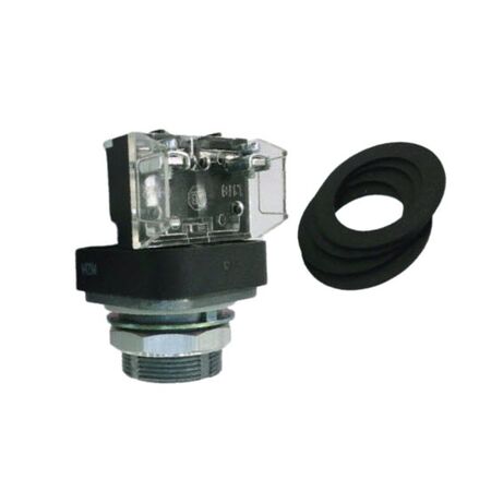 Allen-Bradley 800TQN25 30mm Pilot Light