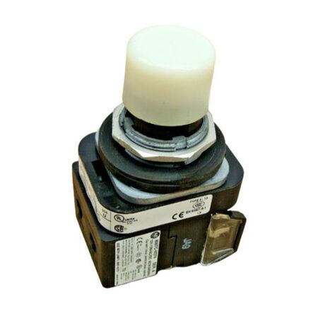 Allen-Bradley 800TCQBH2W 30mm Momentary Pushbutton with LED