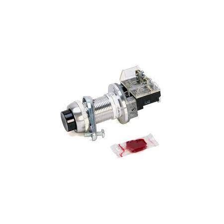 Allen-Bradley 800HBP2AR Extended Head Pushbutton