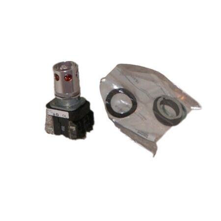 Allen-Bradley 800TCQA24A Illuminated Momentary Push Button