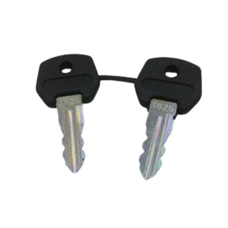 Allen-Bradley 800FAKR3825 Spare Pair for 22 mm Keyed Operators