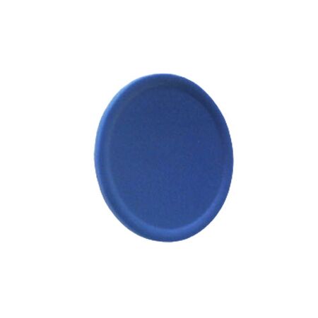 Allen-Bradley 800FAF6 Blue Momentary Flush/Guarded Cap for Pushbutton 22mm