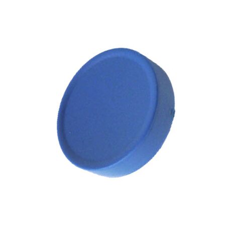 Allen-Bradley 800FAE6 Blue Push Button Multi-Function Extended Cap