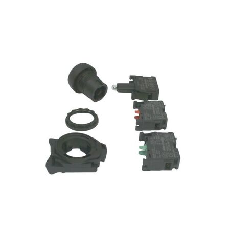 Allen-Bradley 800FPLF4PN5RX11 Illuminated Round Plastic Momentary Push Button