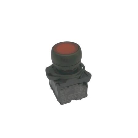Allen-Bradley 800FPLF4PN5RX11 Illuminated Round Plastic Momentary Push Button