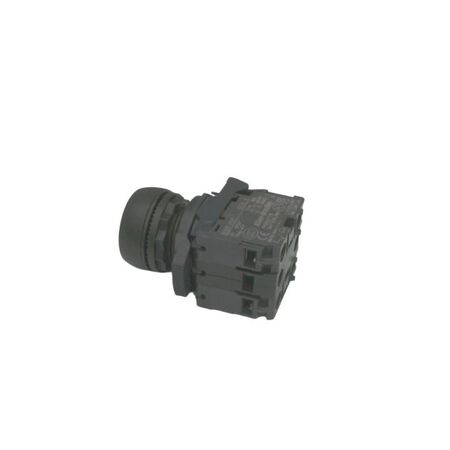 Allen-Bradley 800FPLF4PN5RX11 Illuminated Round Plastic Momentary Push Button