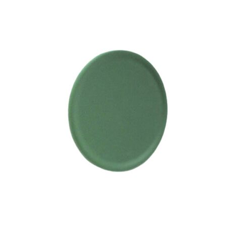 Allen-Bradley 800FAF3 Green Momentary Flush Push Button