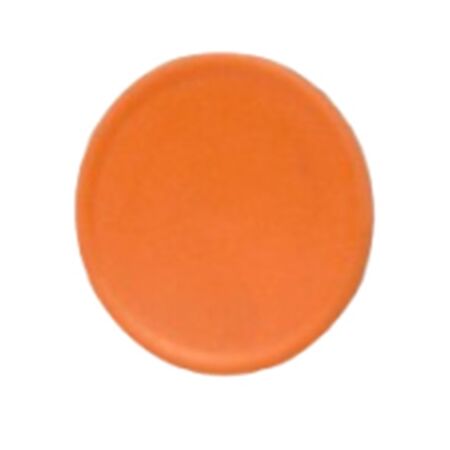 Allen-Bradley 800FAF0 Flush Cap for Push Button