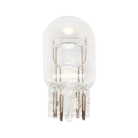 Glass Socket Bulb W21/5W | 12V DC | Trusted OEM Quality | @Pack of 10 | by Wurth