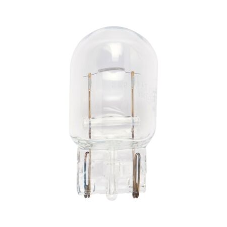 Glass Socket Bulb W21W | 12V 21W | Trusted OEM Quality | @Pack of 10 | by Wurth