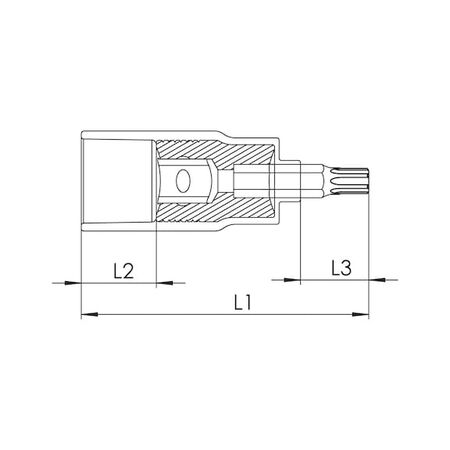VDE 3/8 inch TX Socket Wrench | Insulated for Live Parts | TX30 Tip Size | Chrome-Vanadium Steel | @1 PCS | by Wurth