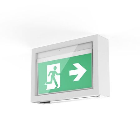 Mercury vandal resistant case - surface mount