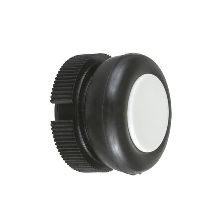 Pushbutton Head White