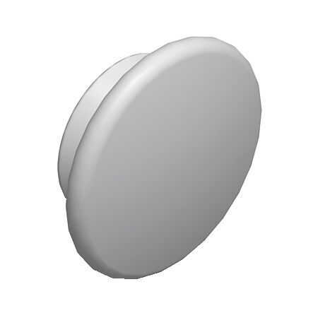 WM Set of 50 back plugs