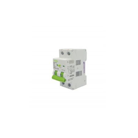 RCBO Residual Current Breaker with Overcurrent Protection 6kA 2 Pole 40A 230 240V ac 30mA Type A 2 Module Wide