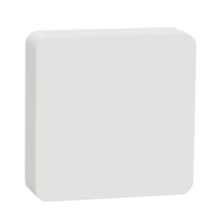 Wiser Temperature/Humidity Sensor | Zigbee 3.0 Connectivity | Real-Time Monitoring | Battery Powered | @Pack of 1 | by Clipsal