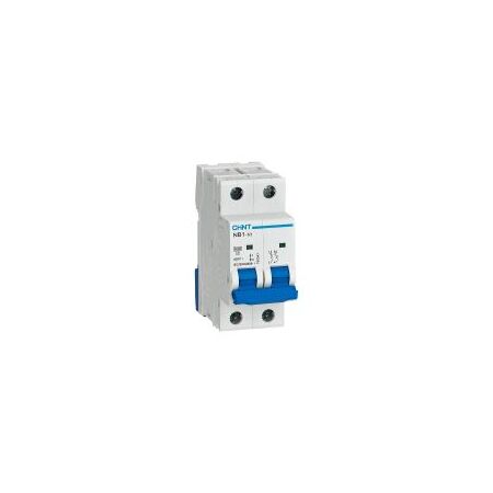 MCB 2P 25A 6kA D Curve DIN Rail NB1-63 Chint