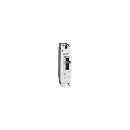 MCCB 1P 80A 50kA Thermal Magnetic 125A Frame NM8N Chint