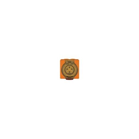 Socket Outlet IP66 20A 500V 4 Round Pin Buffalo Orange Trader