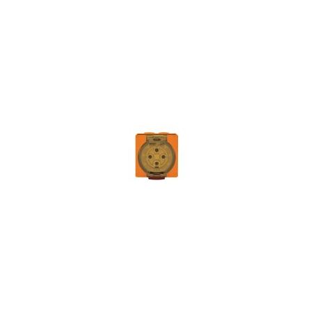 Socket Outlet IP66 32A 500V 4 Round Pin Buffalo Orange Trader