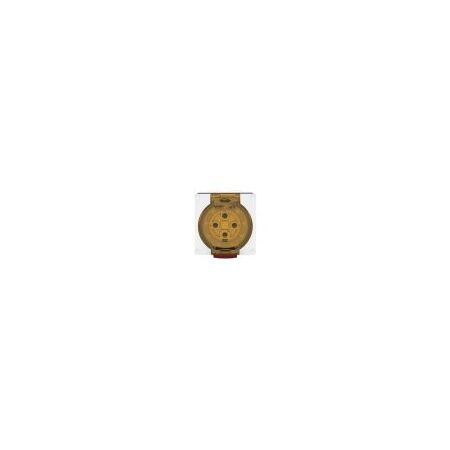 Socket Outlet IP66 40A 500V 4 Round Pin Buffalo White Trader
