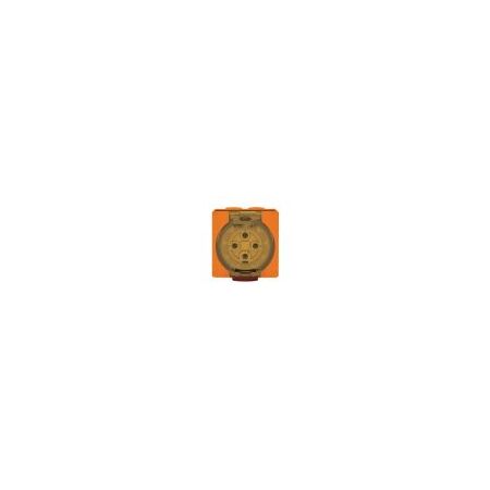 Socket Outlet IP66 50A 500V 4 Round Pin Buffalo Orange Trader