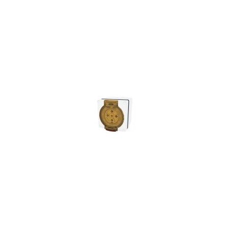 Socket Outlet IP66 40A 500V 5 Round Pin Buffalo White Trader